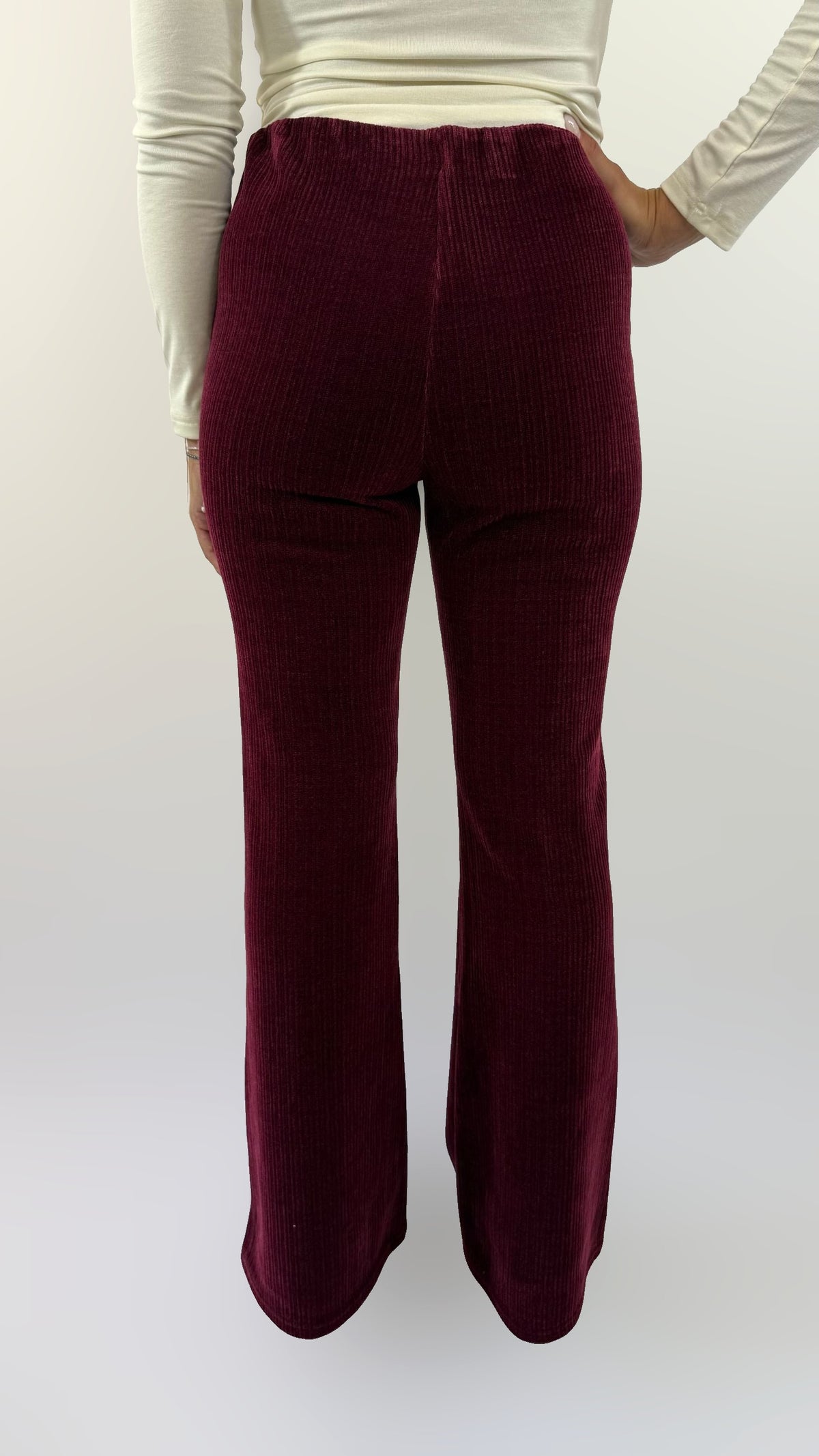 Pantalone velluto Wild Pony